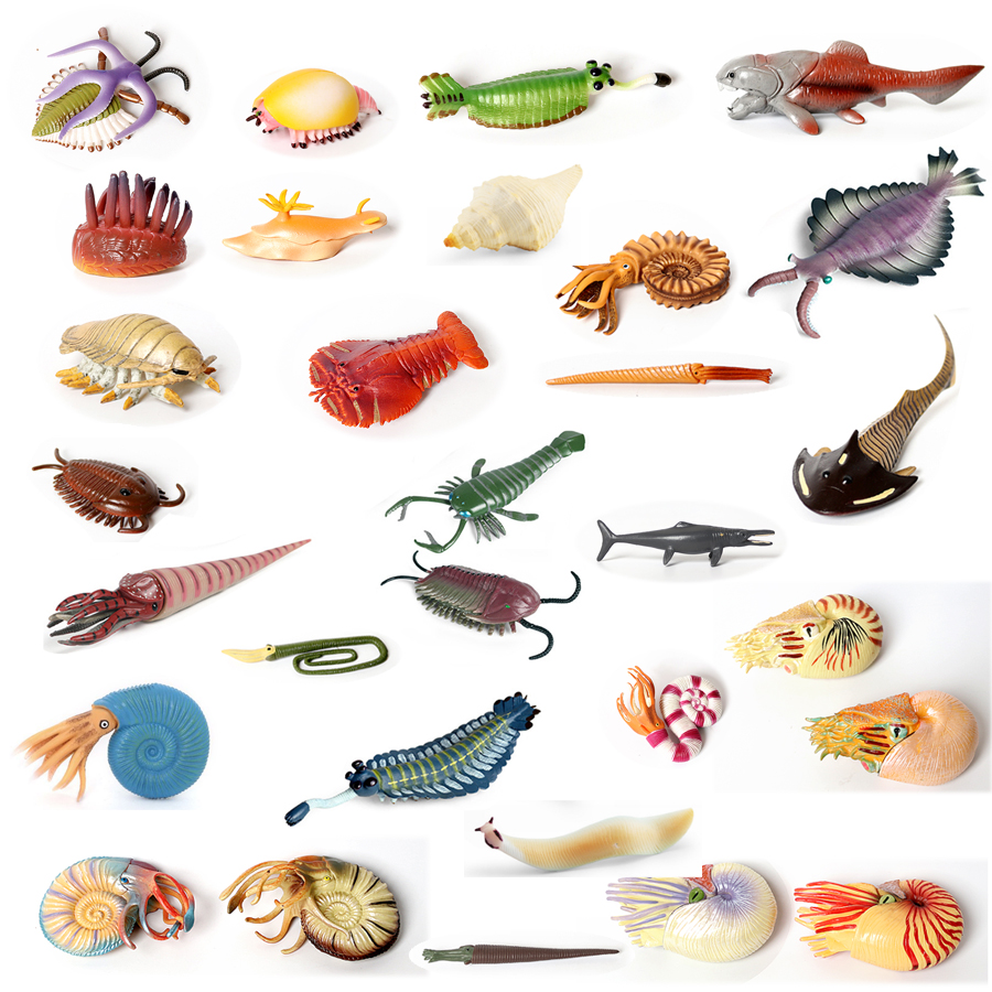 Kids Toys Under 1 Year - Plastic Prehistoric Sea Creature Ancient Cambrian