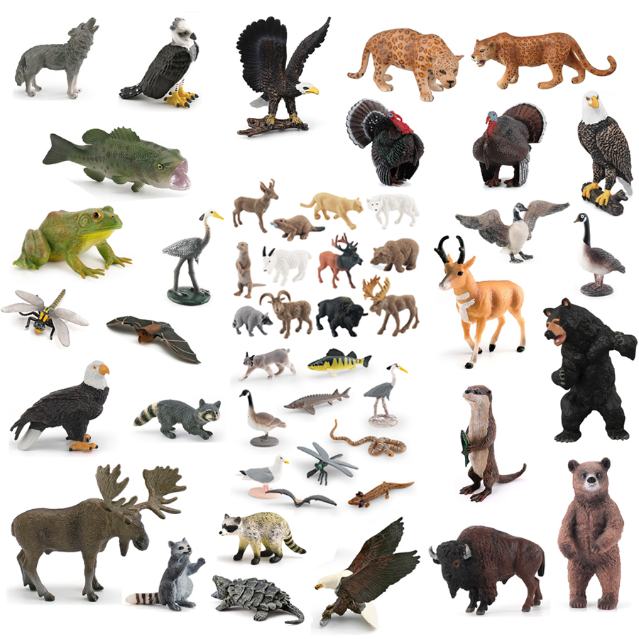 Kids Toys Under 1 Year - Realistic North American Animals Turkey Bald