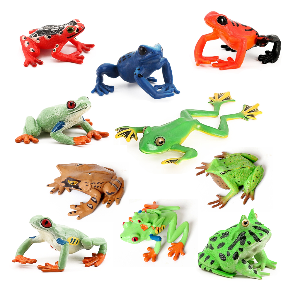 Rainforest Animals Frogs Figur - Kids Toys Under 1 Year review and price