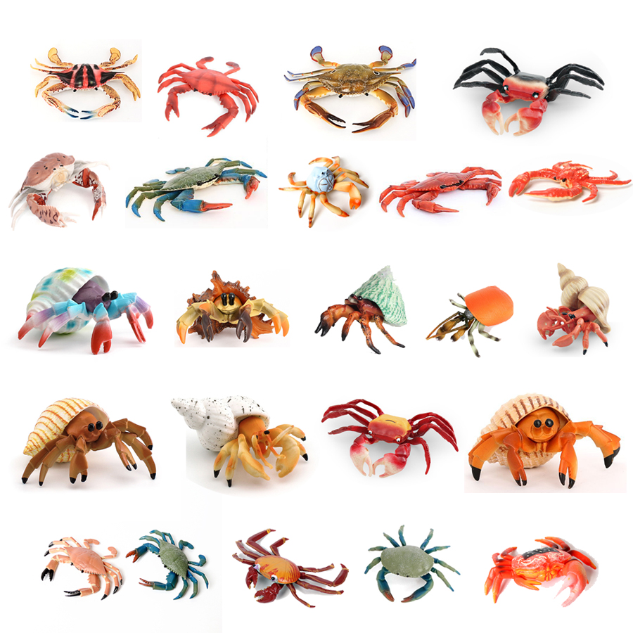Realistic Ocean Animals Hermit - Kids Toys Under 1 Year review and price