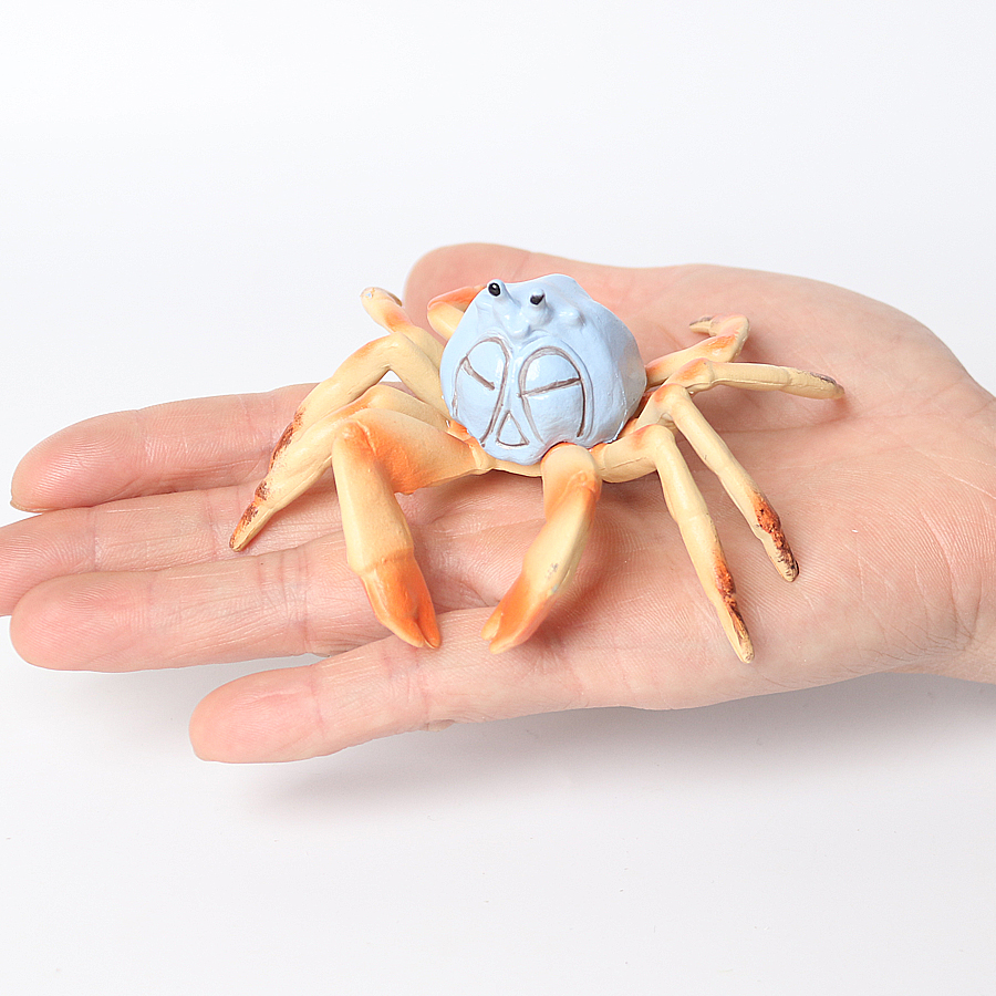 Realistic Ocean Animals Hermit - Kids Toys Under 1 Year review and price