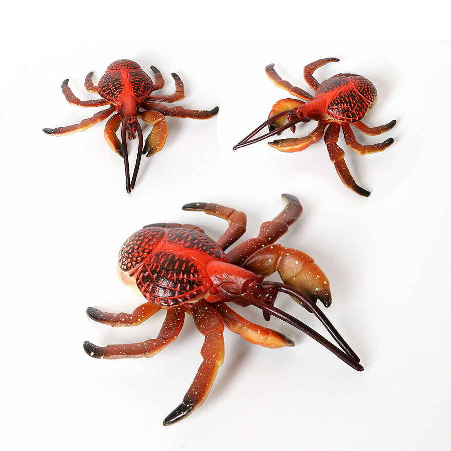 Realistic Ocean Animals Hermit - Kids Toys Under 1 Year review and price