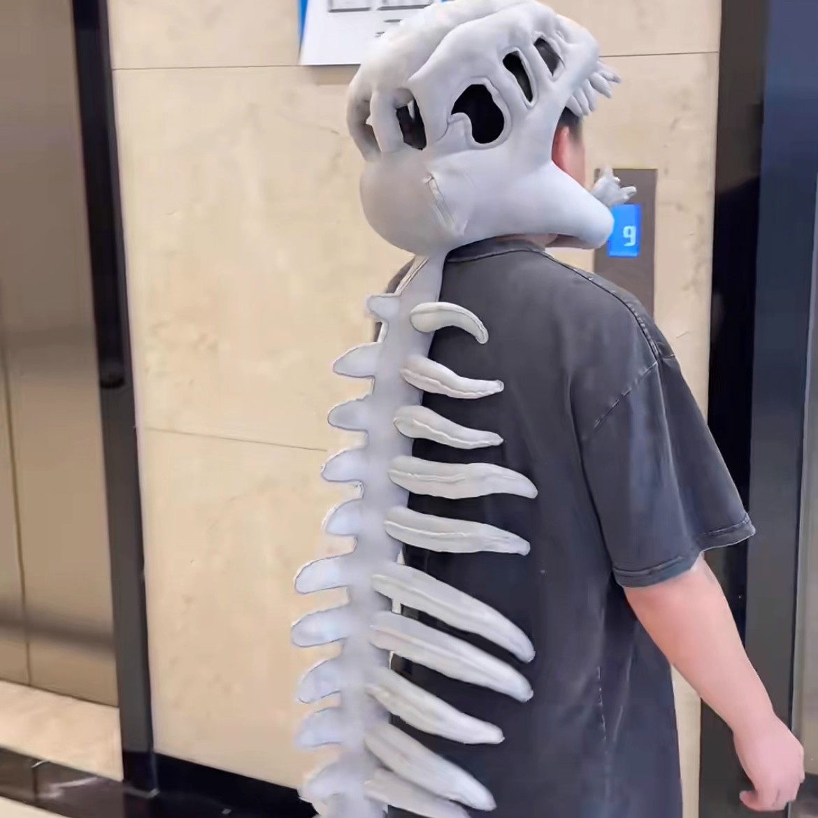 Chinese Dinosaur Skeleton Plus - Kids Toys Animal review and price
