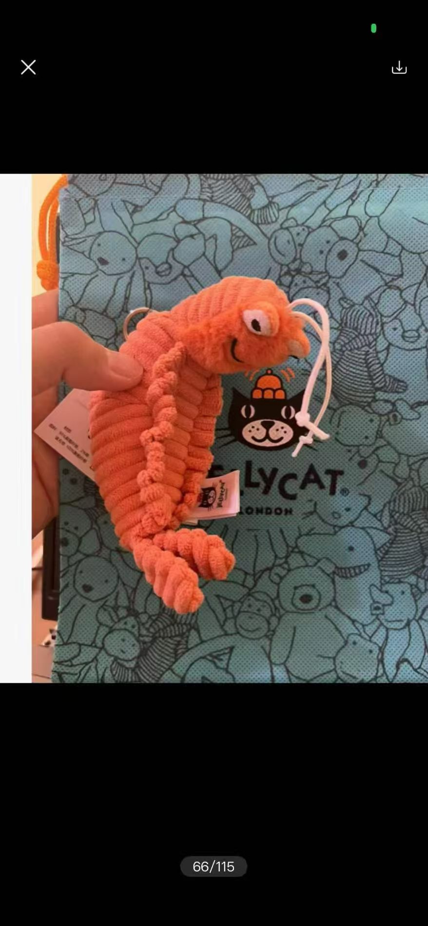 2026 JC brand plush toy keycha - Kids Toys Usa review and price